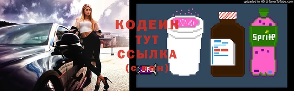 твердый Снежногорск