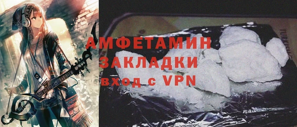 прущие грибы Богданович