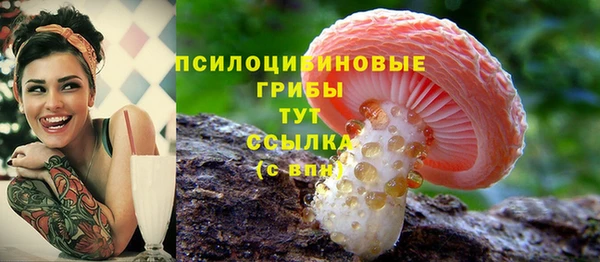 СК Бугульма