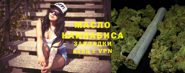 твердый Снежногорск